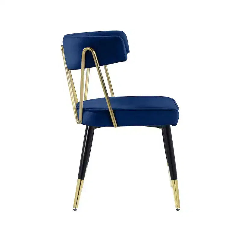 Chaises de salle à manger en velours Rheingold de Meridian Furniture, lot de 2