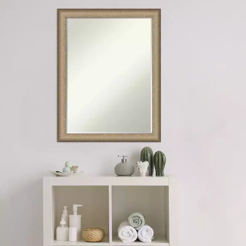 Miroir mural de salle de bain Amanti Art Elegant Brushed Narrow Petite Bevel